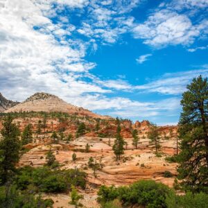 east zion national park